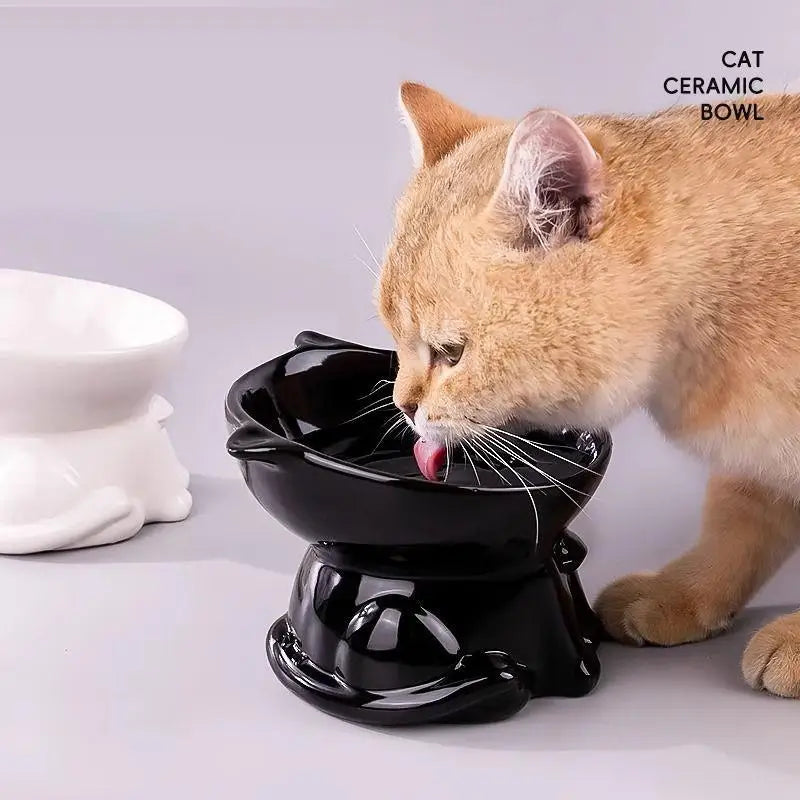 A ginger cat is eating from a black ceramic bowl designed for cats.