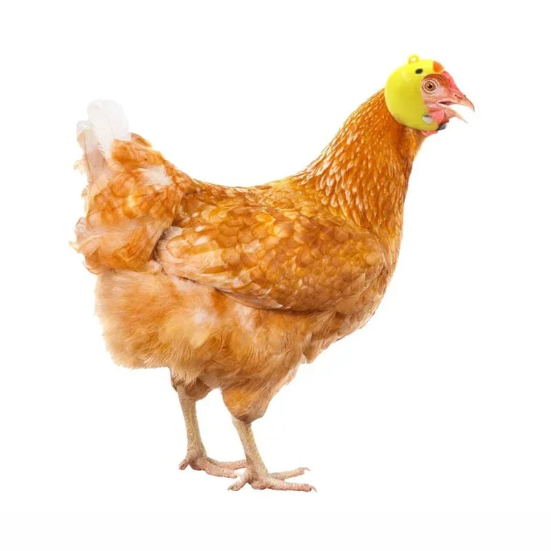 Adjustable Protective Helmet for Chickens and Poultry