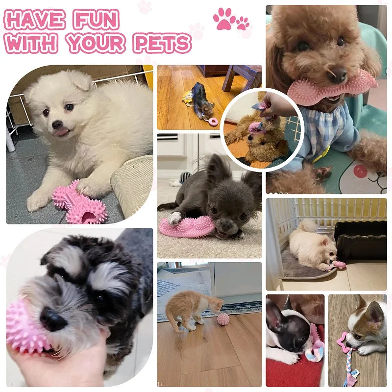 A pink rubber chew toy for small dogs with a dental cleaning texture is shown alongside a fluffy dog and other pet toys.