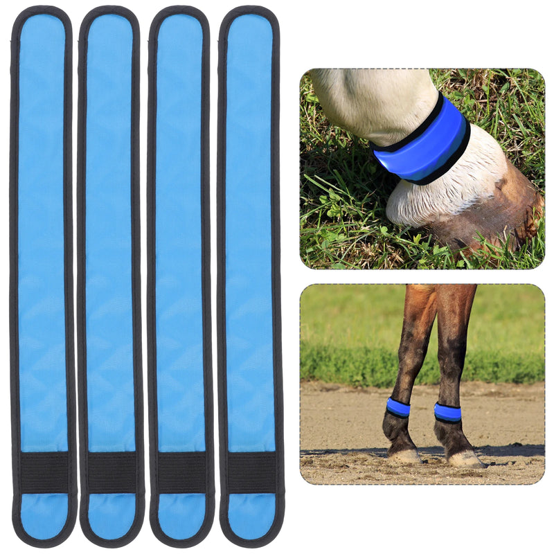 Wraps LED pour Jambes de Cheval - Lot de 4