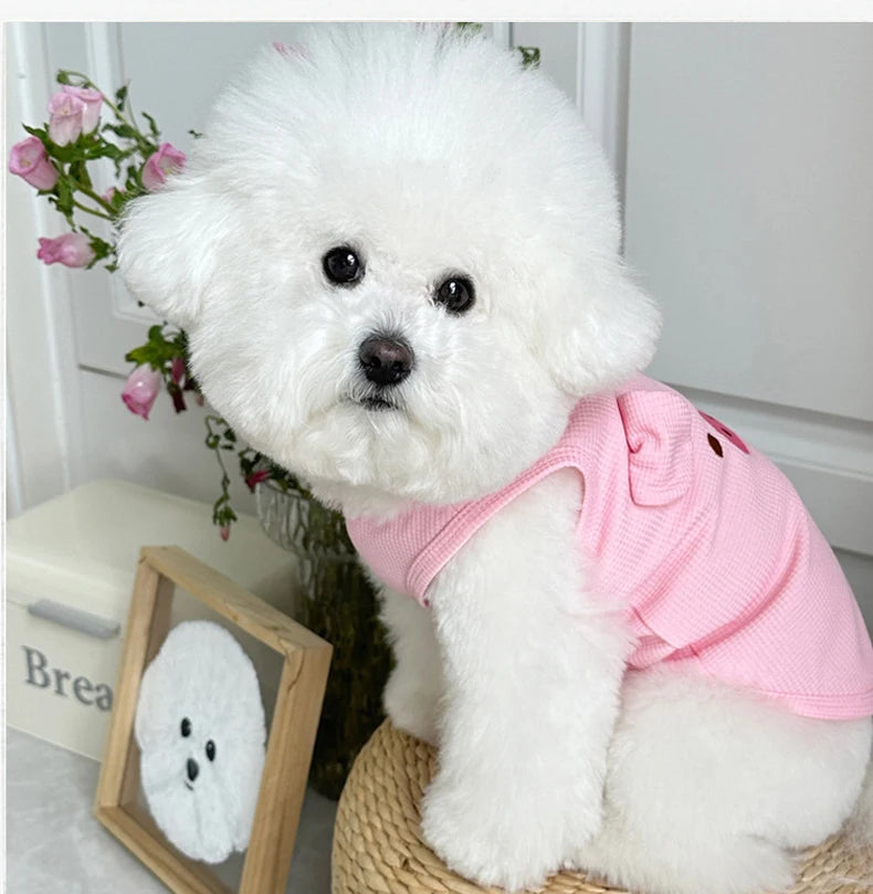 Chaleco Transpirable para Perros Pequeños