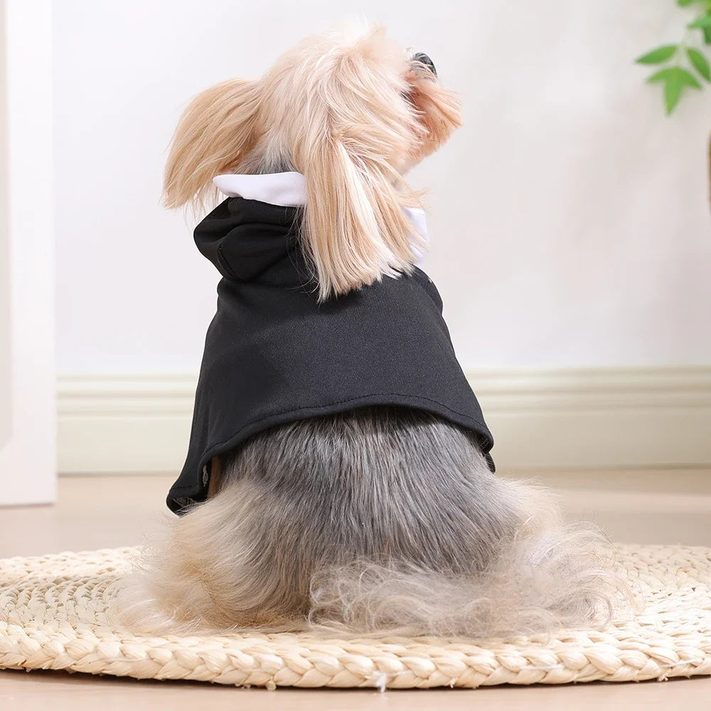 A light-colored dog wearing a black nun costume with a white collar, sitting on a woven mat.