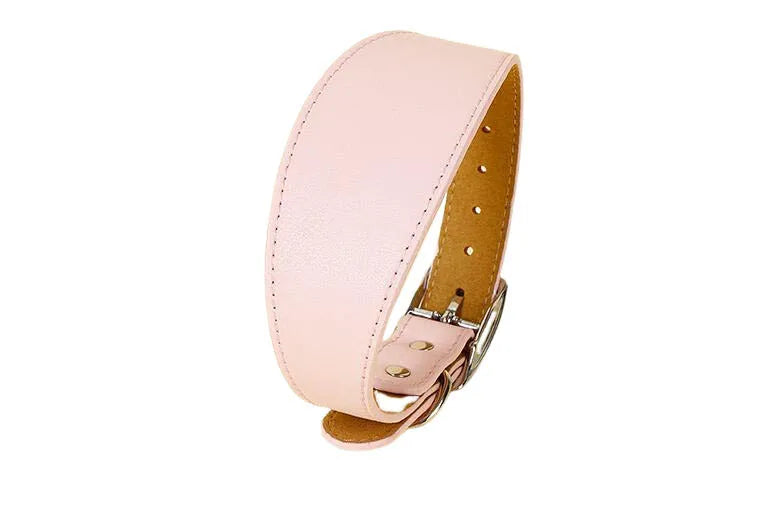 Wide Leather Dog Collar for Long-Necked Breeds