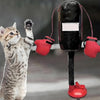 Kätzchen spielt aktiv mit einem interaktiven Katzen-Box- und Kratzspielzeug mit schwarzem Mikrofon und roten Handschuhen.