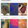 Aquarium Methylblau-Behandlungslösung