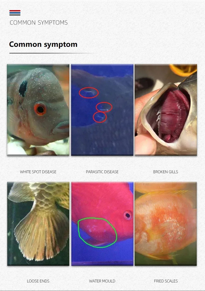 Aquarium Methylblau-Behandlungslösung