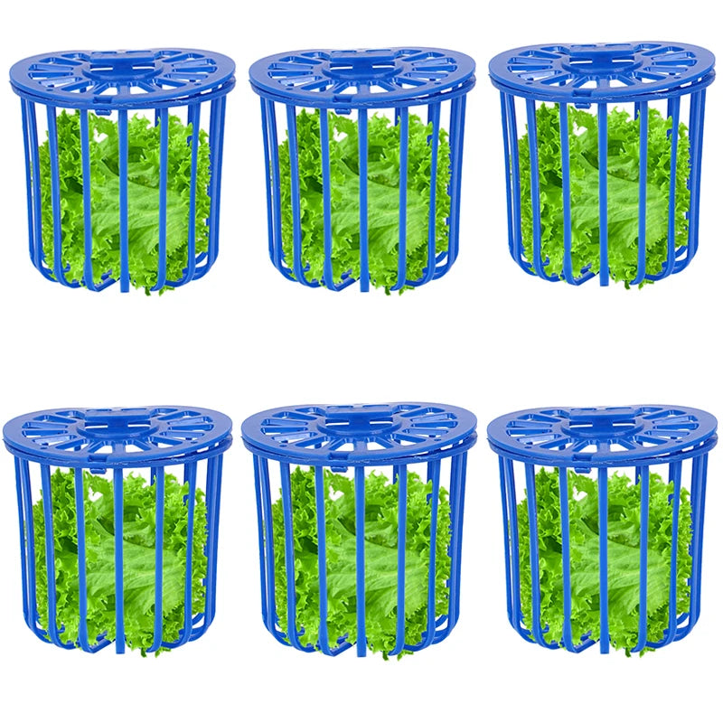 Hanging Bird Cage Feeder for Fresh Fruits and Vegetables