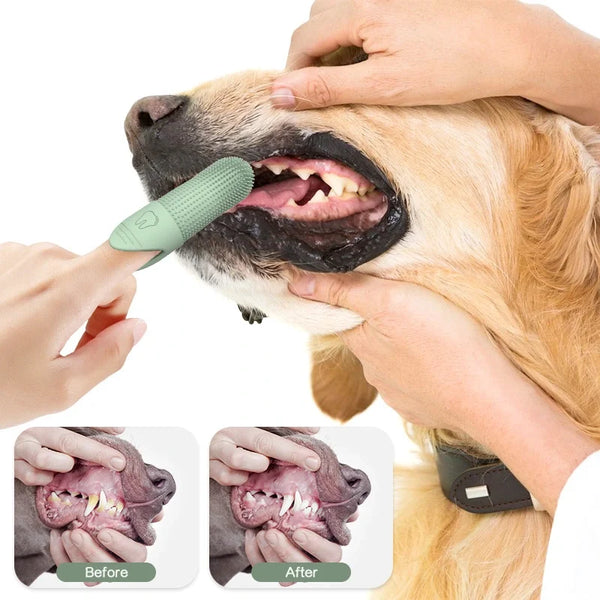 Brosse à dents en silicone 360° pour doigts, pour chiens et chats