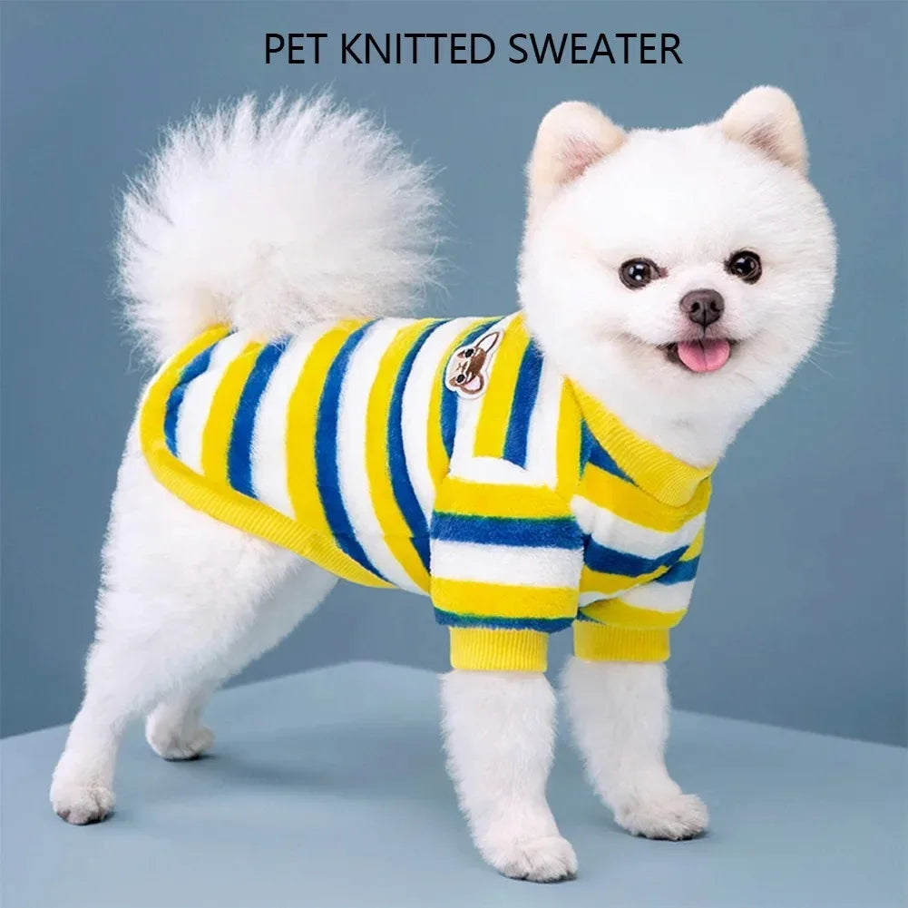 A white fluffy dog wearing a yellow and blue striped knitted sweater.