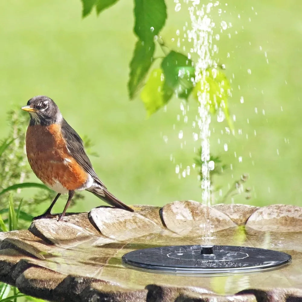 A small bird is near a solar-powered floating fountain pump resting on a stone surface.