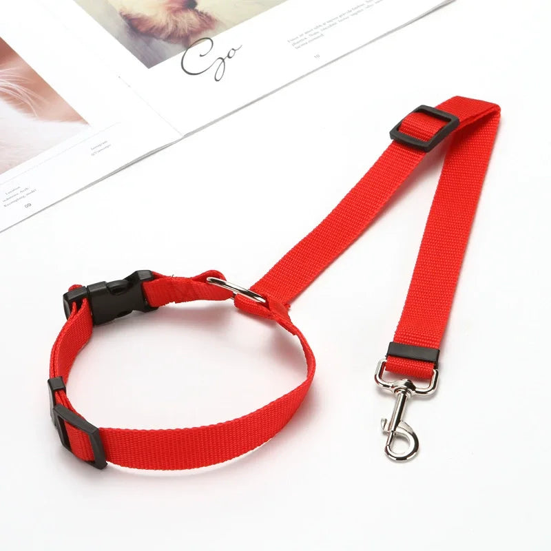 Red adjustable car safety belt and leash for a small dog