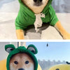 Sudadera de Rana para Perros