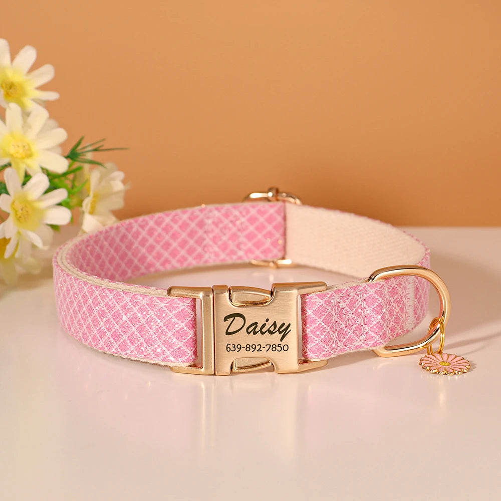 Pink textured nylon dog collar with a gold buckle and a engraved Daisy name tag