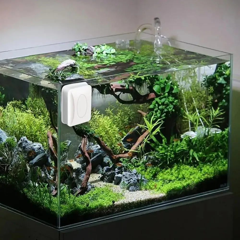 Aquarium en verre rempli de plantes et de roches, avec un outil de nettoyage magnétique blanc dans le coin supérieur.