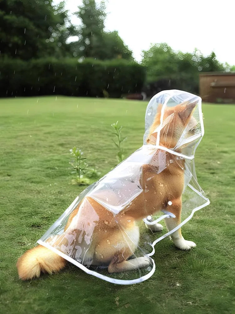 Transparent Waterproof Dog Raincoat for Medium to Large Dogs