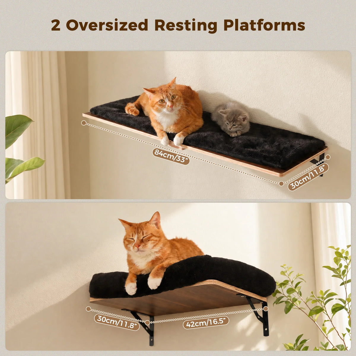 Modular Wall-Mounted Cat Climbing Shelves with Scratching Posts