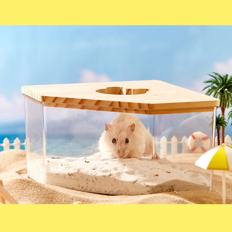 Bac à sable en acrylique transparent pour hamster