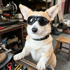 A light-colored dog wearing black UV protection sunglasses sitting on a wooden surface.
