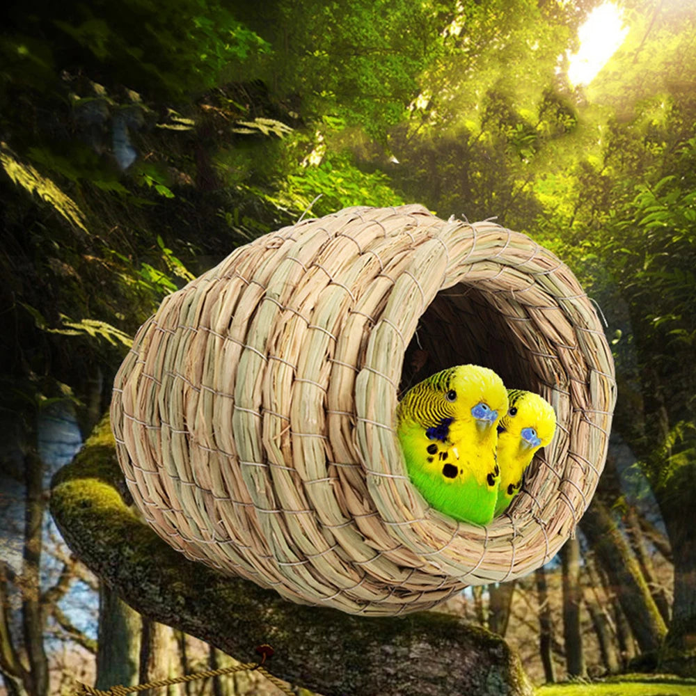 A small yellow bird is nestled inside a large, woven natural straw bird nest in a lush forest setting.