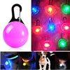 LED-Hundehalsband-Anhänger für Nachtsicherheit