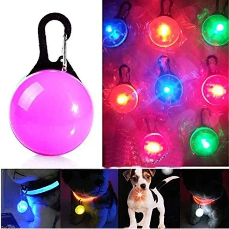 LED-Hundehalsband-Anhänger für Nachtsicherheit