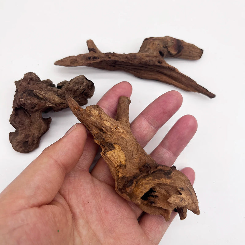 Micro Landscape Aquarium Decor Wood Branches 5-10cm - 3/6/9pcs
