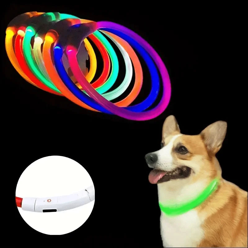 USB-wiederaufladbare LED-Hundehalsband
