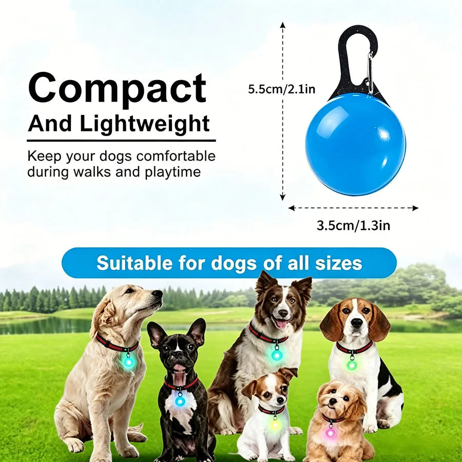 A collection of dogs of various sizes wearing a blue LED dog collar light.