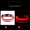 LED-Sicherheits-Hundeleine und Halsband-Set