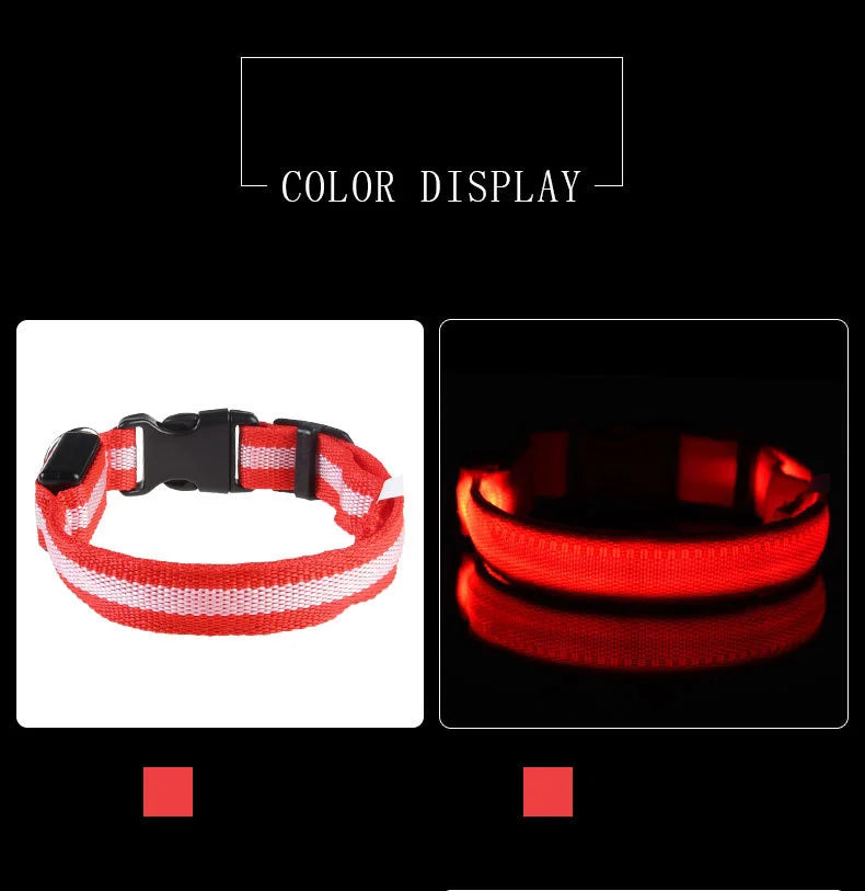 LED-Sicherheits-Hundeleine und Halsband-Set
