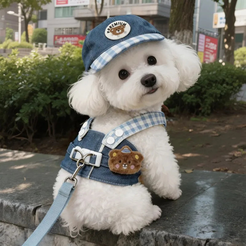 Cartoon Dog Harness Vest with Matching Leash