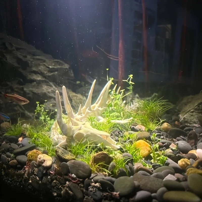 Articulated Dragon Skeleton Aquarium Ornament
