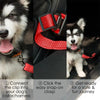A dog wearing a red harness and clip, ready for a safe journey.