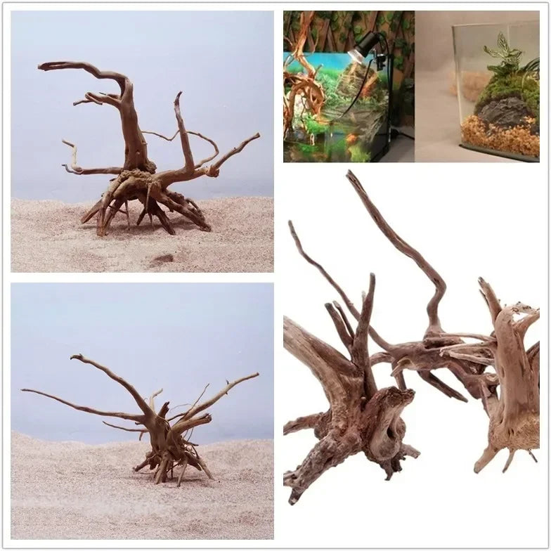 Natürliche Baumdriftstücke als Aquariumdekoration, mit verschiedenen Formen und Texturen.