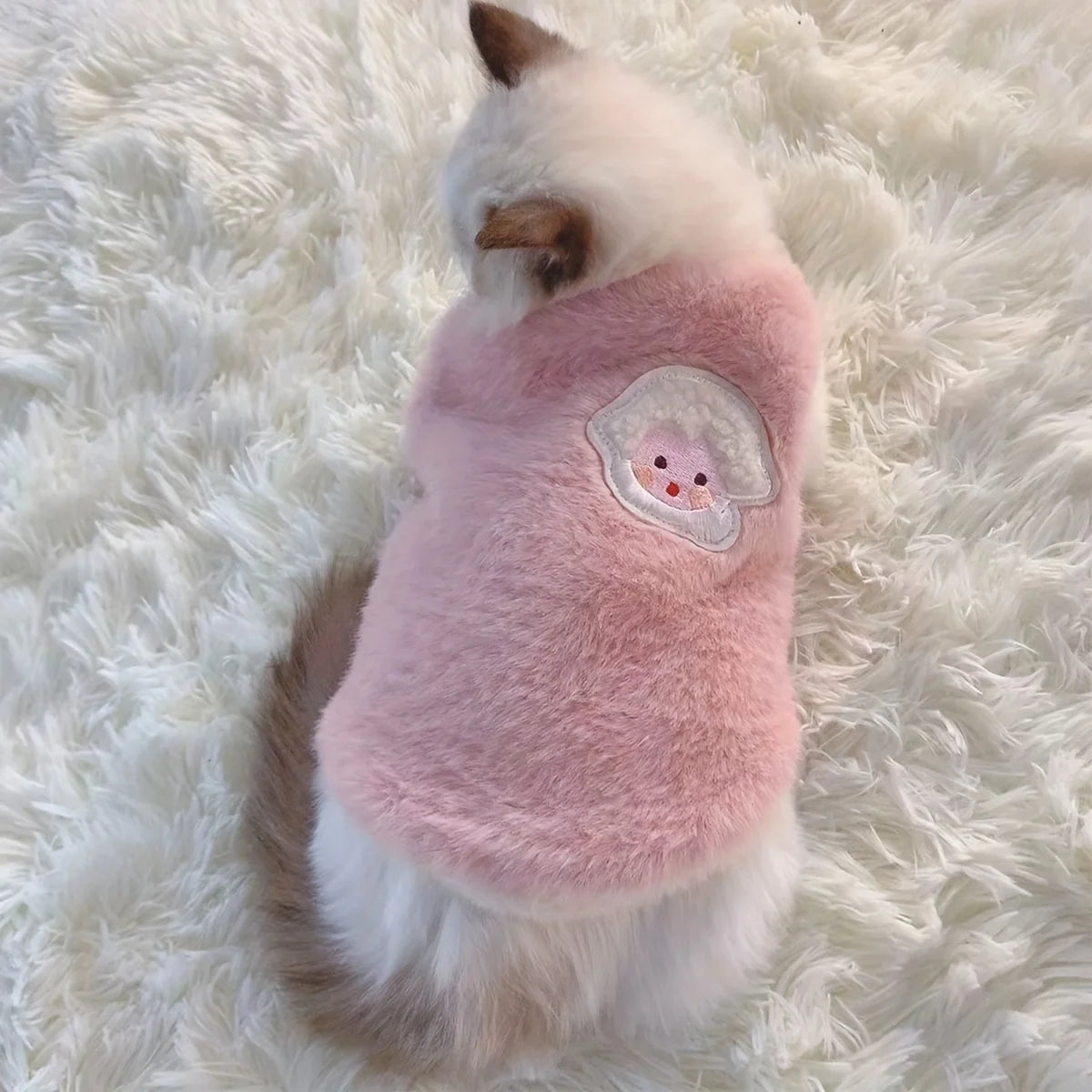 A fluffy white kitten wearing a pink embroidered vest on a white, textured surface.