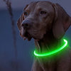 Rechargeable LED Dog Collar with USB Charging