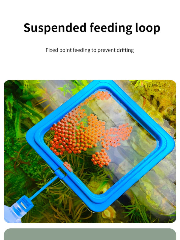 Blue feeding loop device with orange pellets floating in water, used for fixed point feeding.