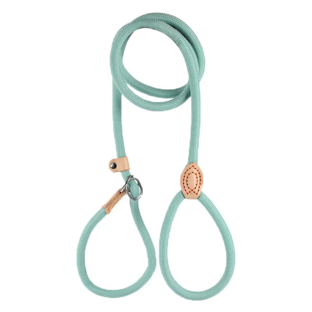 A teal heavy duty slip lead dog leash with an adjustable stopper.