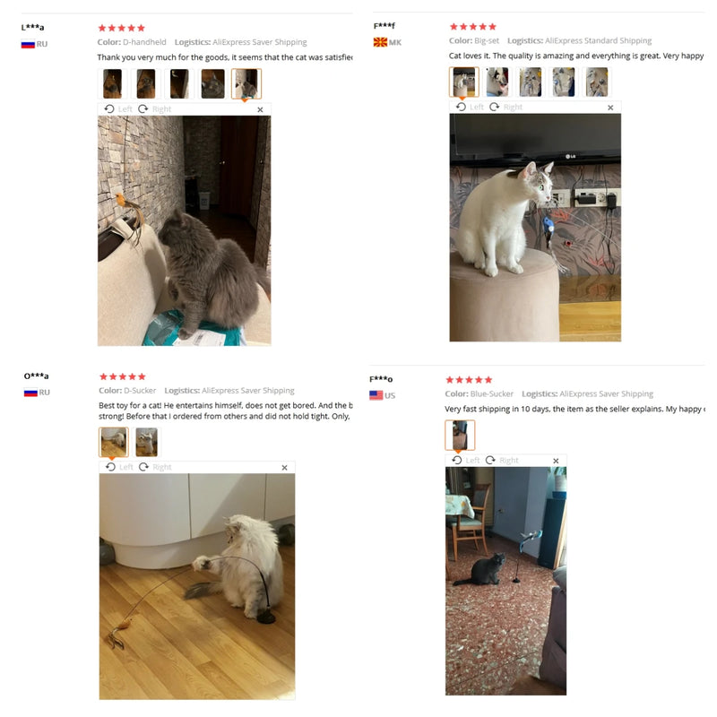 Jouet Interactif pour Chat avec Plumes et Baguette