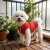 Breathable Solid Color Polo Shirt for Cats and Small Dogs