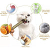 Cat Dental Care Chew Stick with Silver Vine