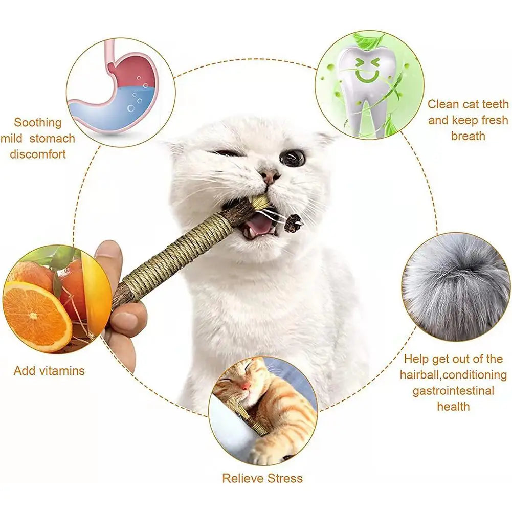Cat Dental Care Chew Stick with Silver Vine