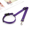 Purple 2-in-1 adjustable car safety belt and leash for a small dog