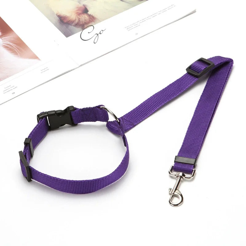 Purple 2-in-1 adjustable car safety belt and leash for a small dog