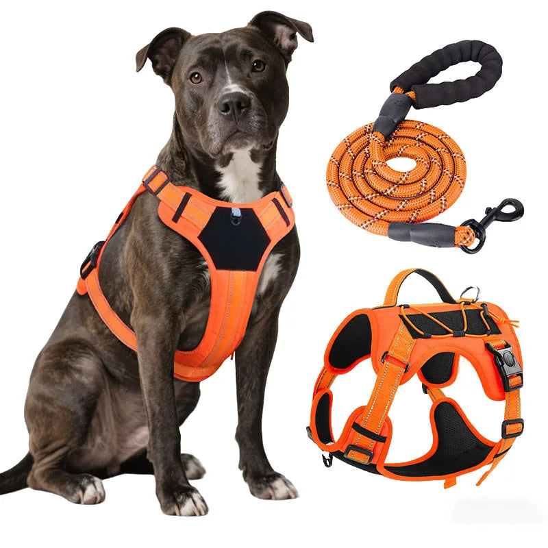 An orange heavy-duty dog harness and leash set with a dark-colored dog sitting next to the equipment.