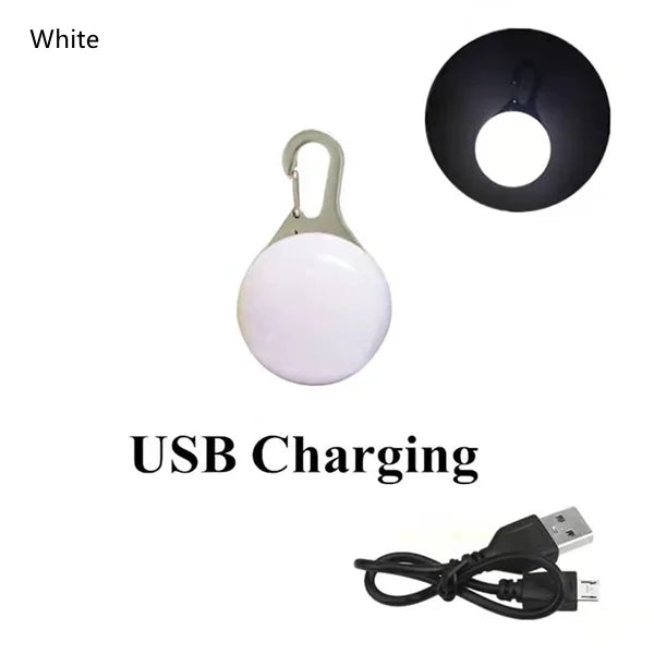 White rechargeable LED dog collar light with a black housing and USB charging cable.