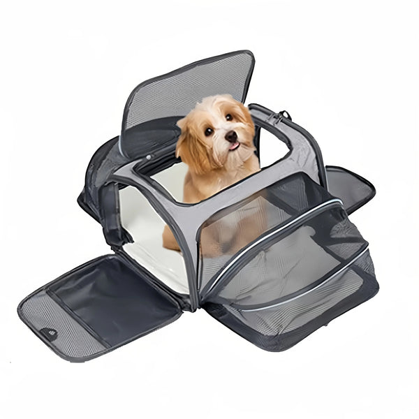 Foldable Pet Carrier Bag for Small Dogs and Cats