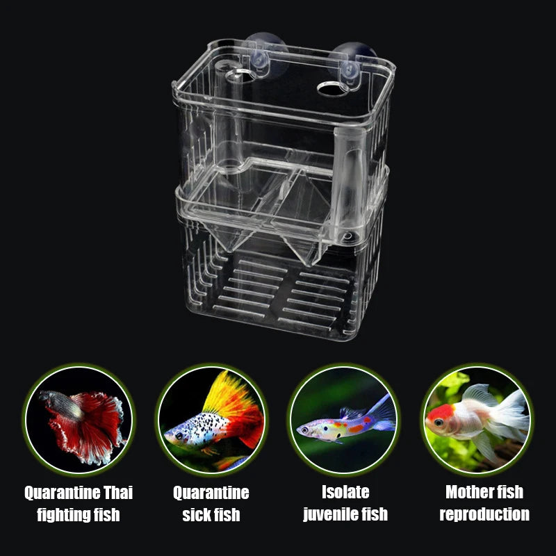 Acrylic Aquarium Breeding Box