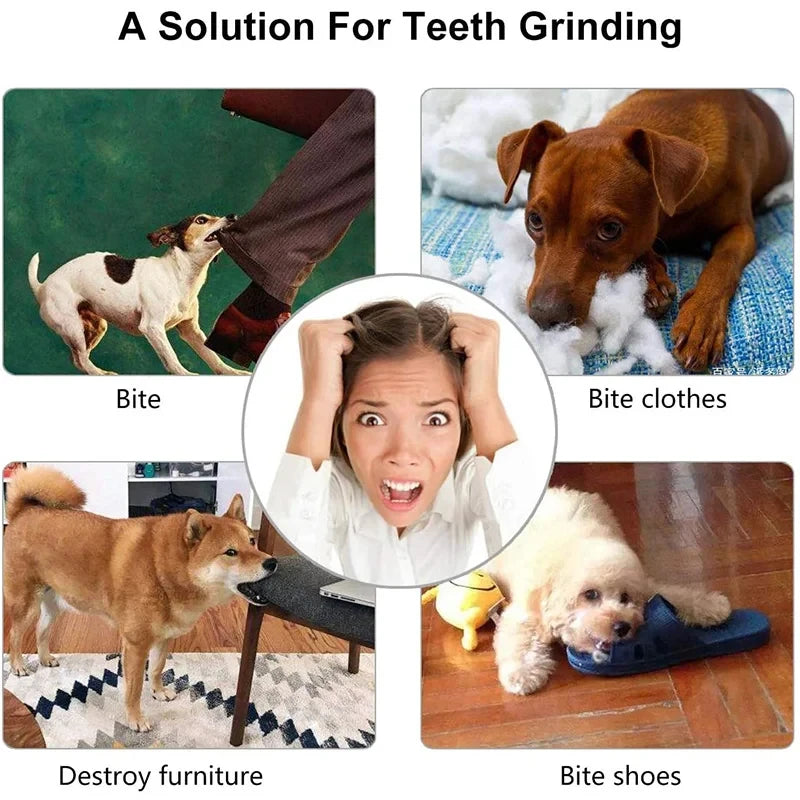 Pelota de Goma Resistente para Masticar Perros