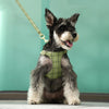 Classic Plaid Dog Collar, Harness & Leash Set with Bowtie